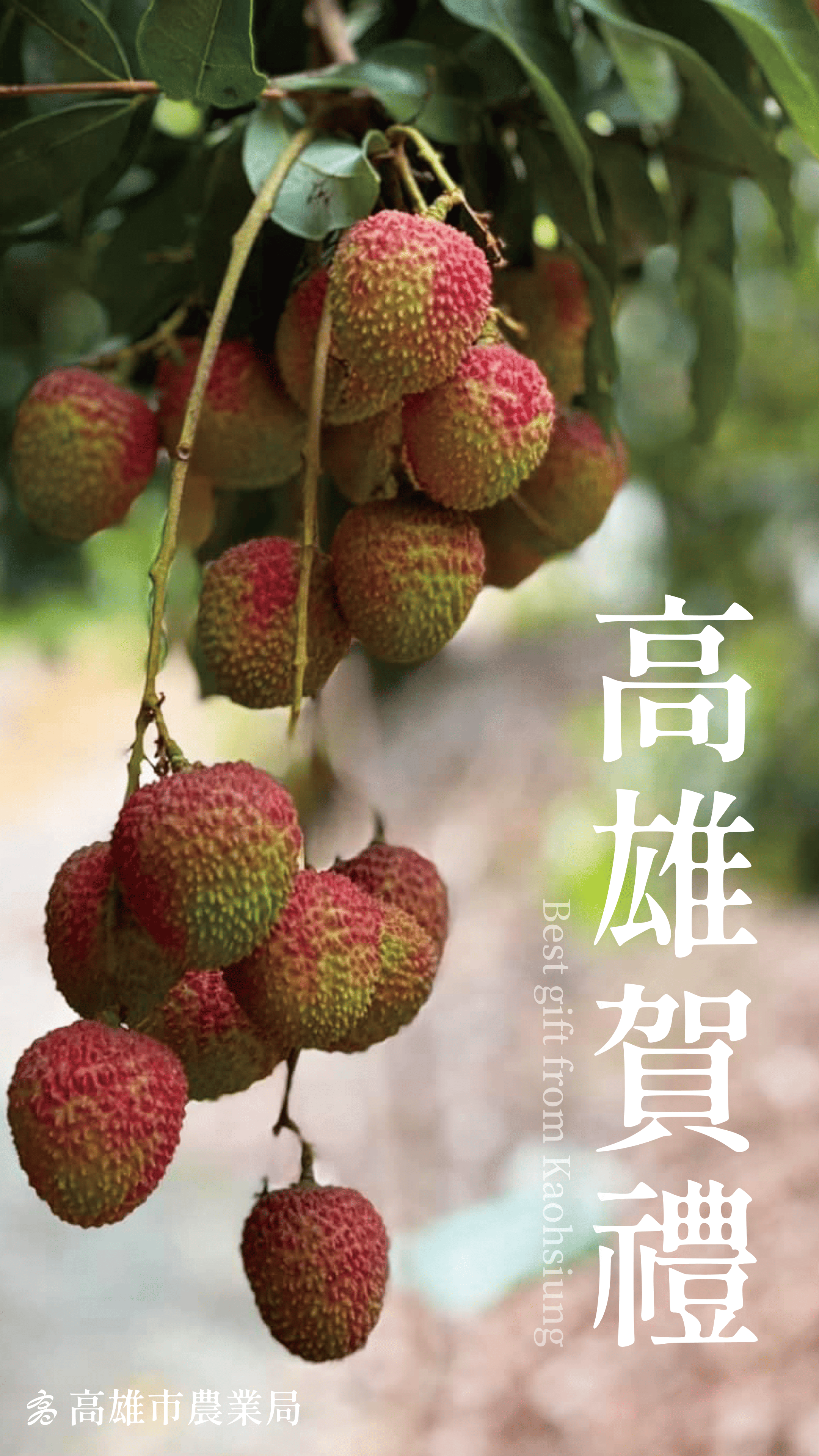 高雄賀禮-高雄首選